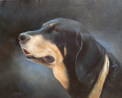coonhound pet portrait