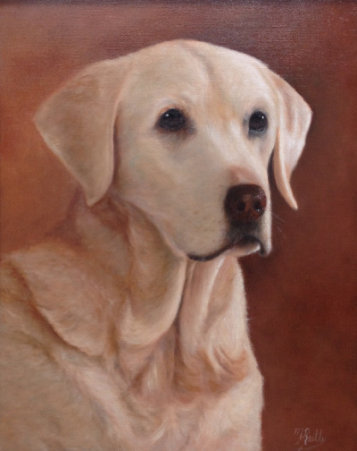 yellow lab pet portrait