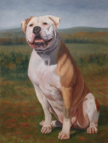 pet portrait