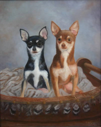 Chihuahua Pet Portrait