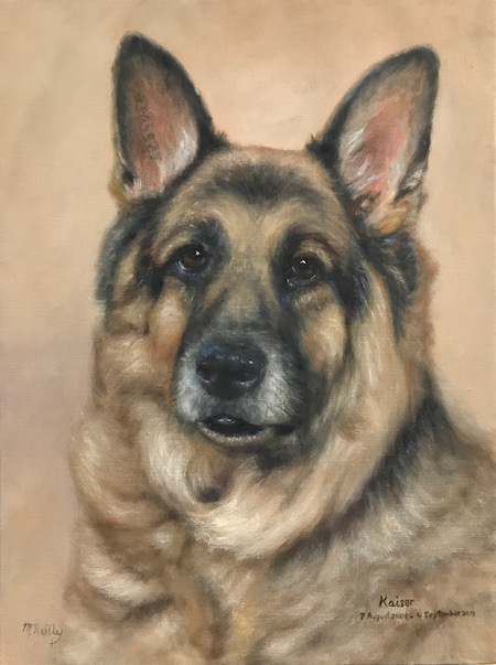 pet portrait