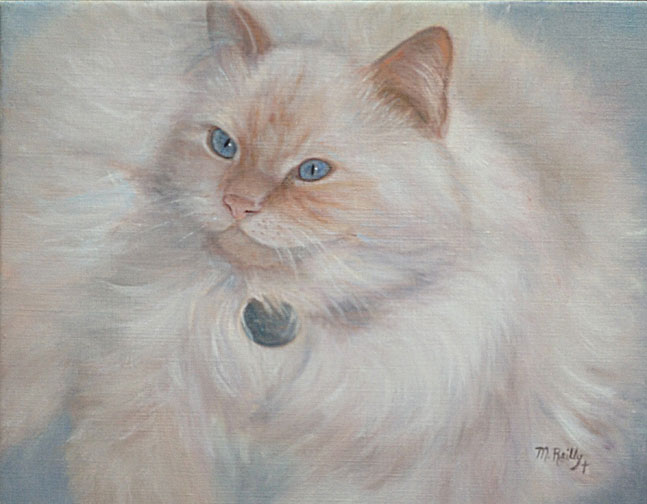 cat pet portrait