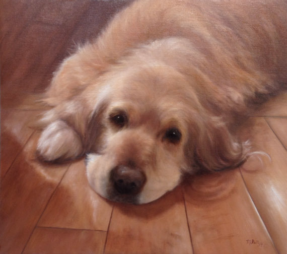 golden retreiver pet portrait