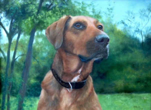 pet portrait