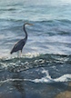 heron