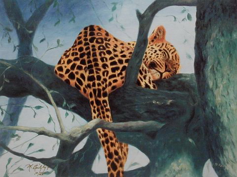 leopard